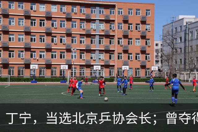 丁宁，当选北京乒协会长；曾夺得21个世界冠军头衔，是乒乓球“大满贯”得主