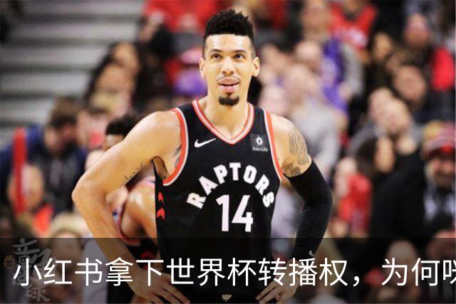 小红书拿下世界杯转播权，为何咪咕却成最大赢家？