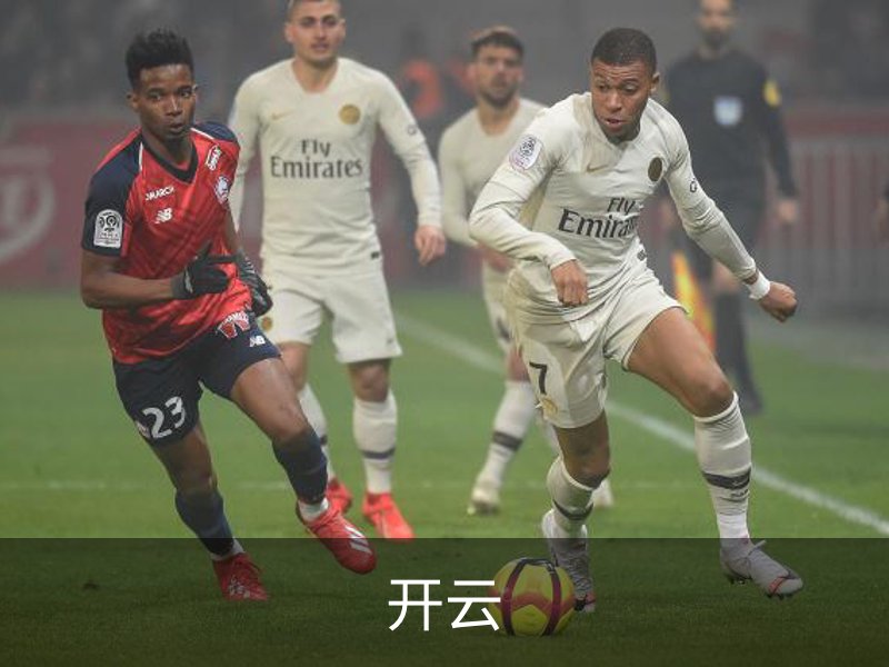 开云简介