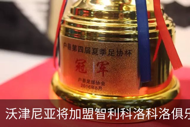沃津尼亚将加盟智利科洛科洛俱乐部