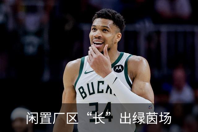 闲置厂区“长”出绿茵场